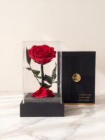 Rosa Preservada Belleza y Bestia en Acrílico
