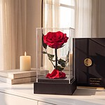 Rosa Preservada Belleza y Bestia en Acrílico