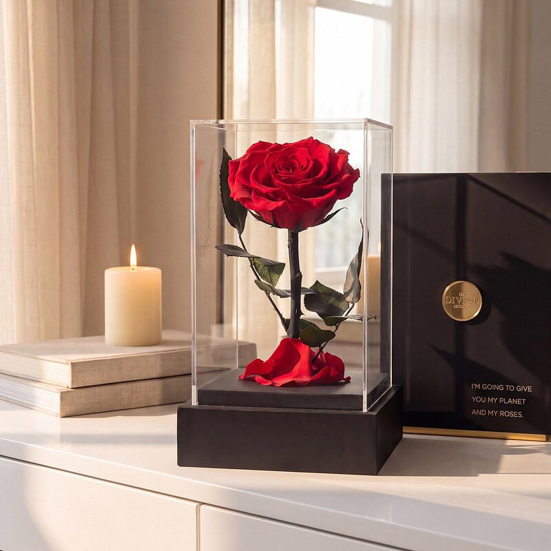 Rosa Preservada Belleza y Bestia en Acrílico