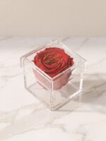 Single Mini Preserved Rose in Acrylic Box