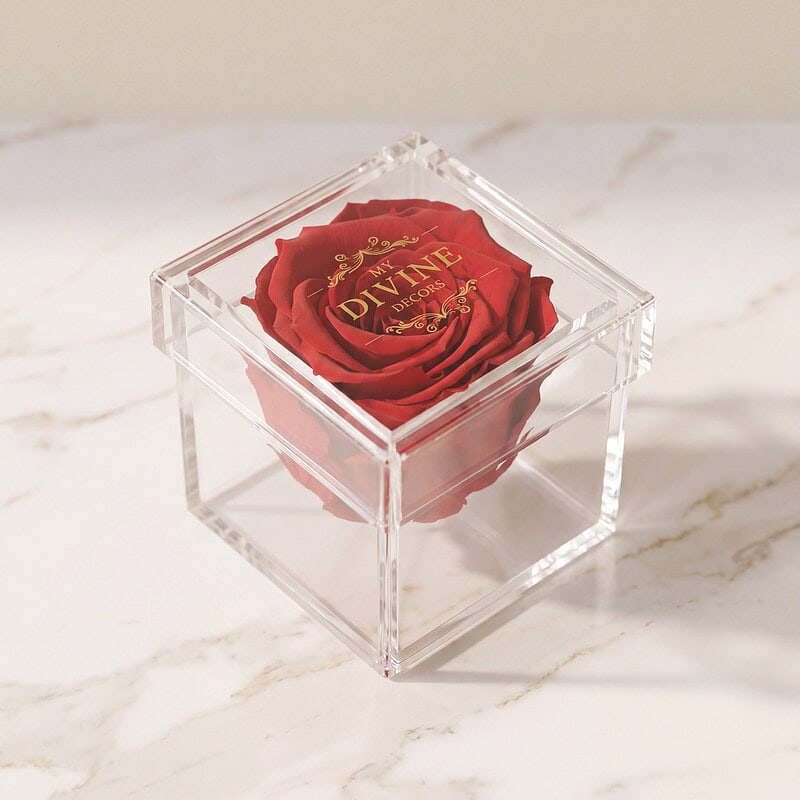 Single Mini Preserved Rose in Acrylic Box