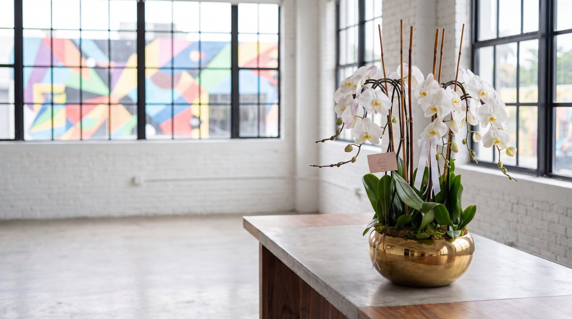 Karolina Orchids by My Divine Decors, white phalaenopsis in a gold bowl, on a concrete table in a Wynwood art loft with a street-art mural beyond the windows